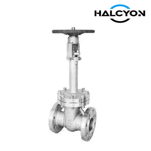 Class 600 API Cryogenic Gate Valve